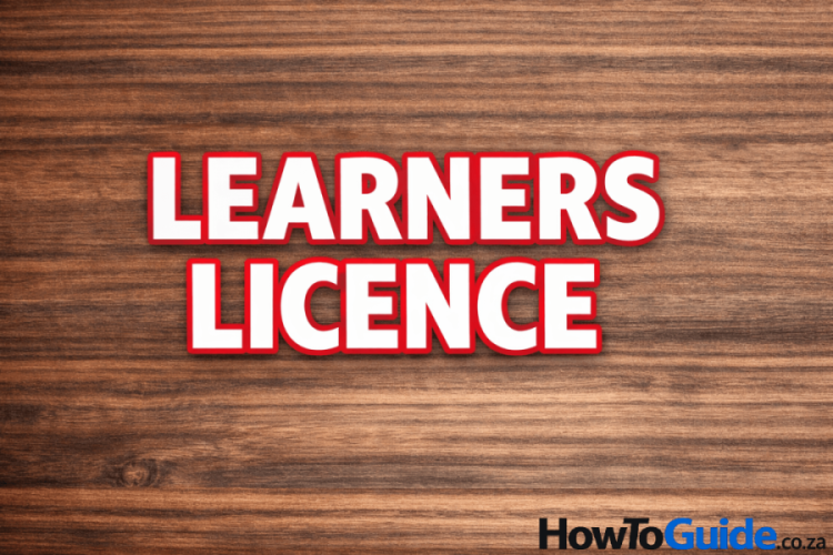 learners licence
